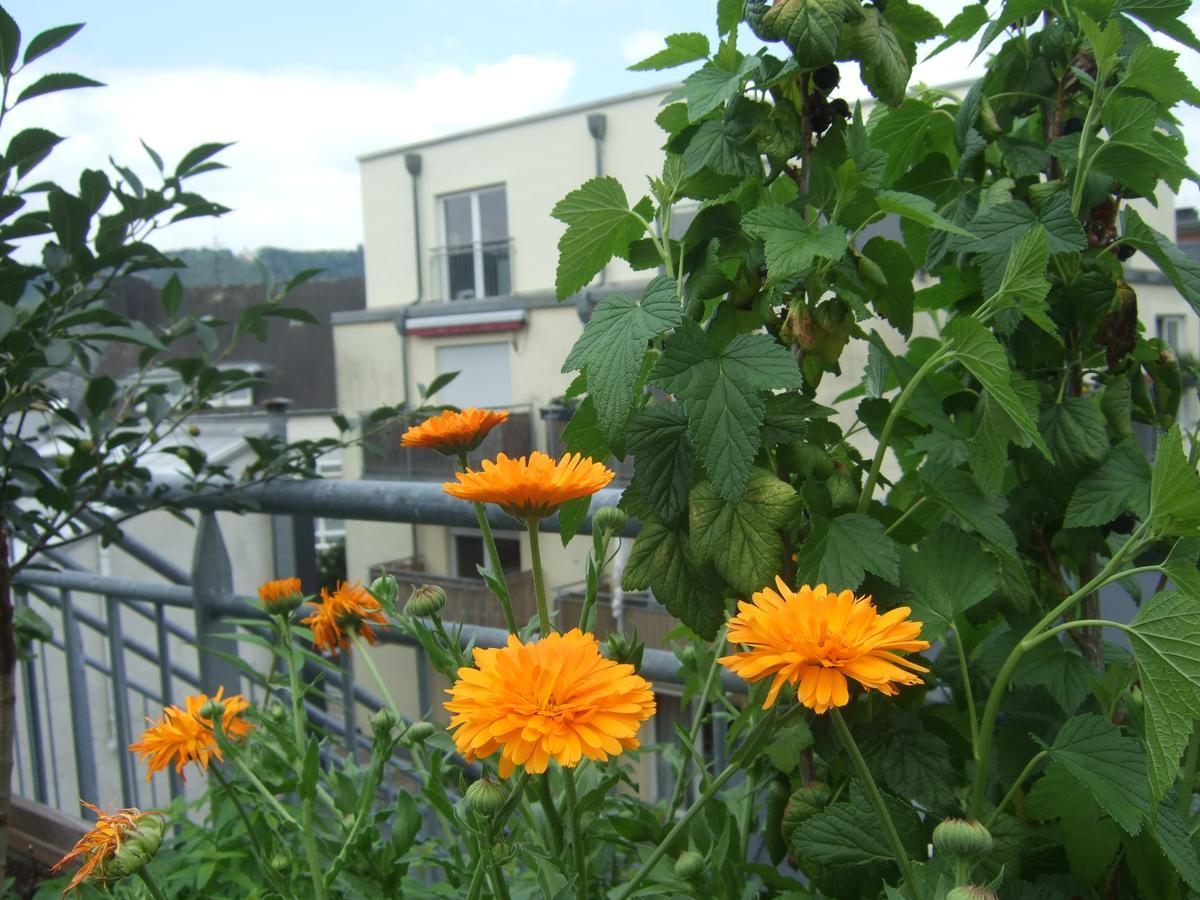 Nadabei Hotel Trier Buitenkant foto